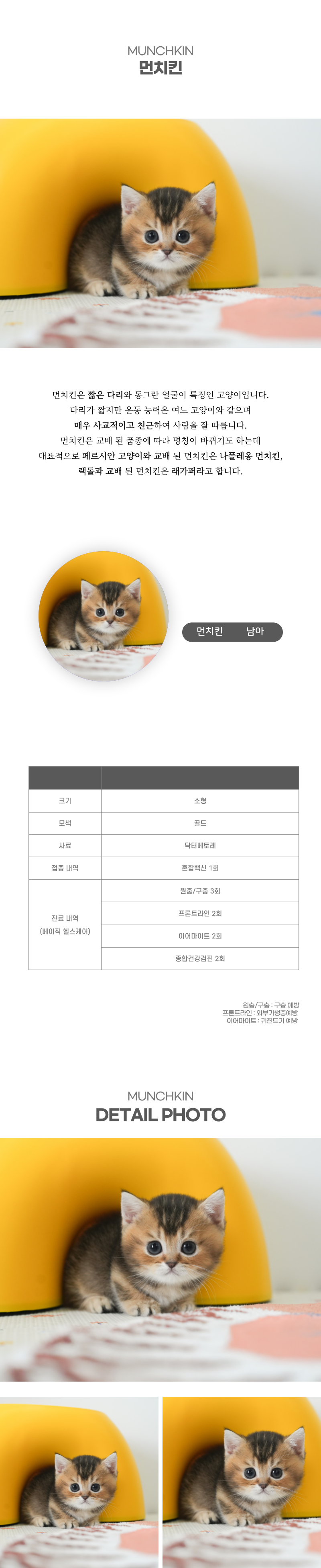 먼치킨_상세이미지_2